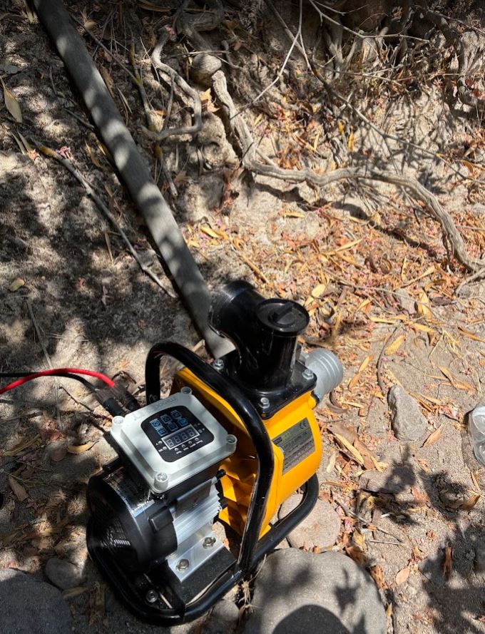 Bayram Ali Bey zeytinliği 1