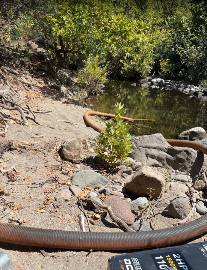 Bayram Ali Bey zeytinliği 2