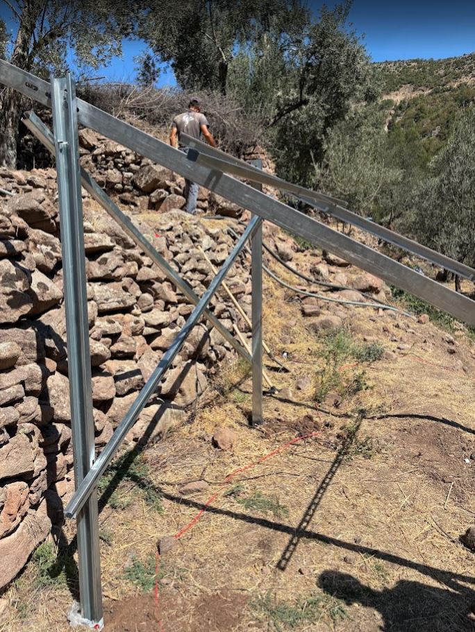 Bayram Ali Bey zeytinliği 4