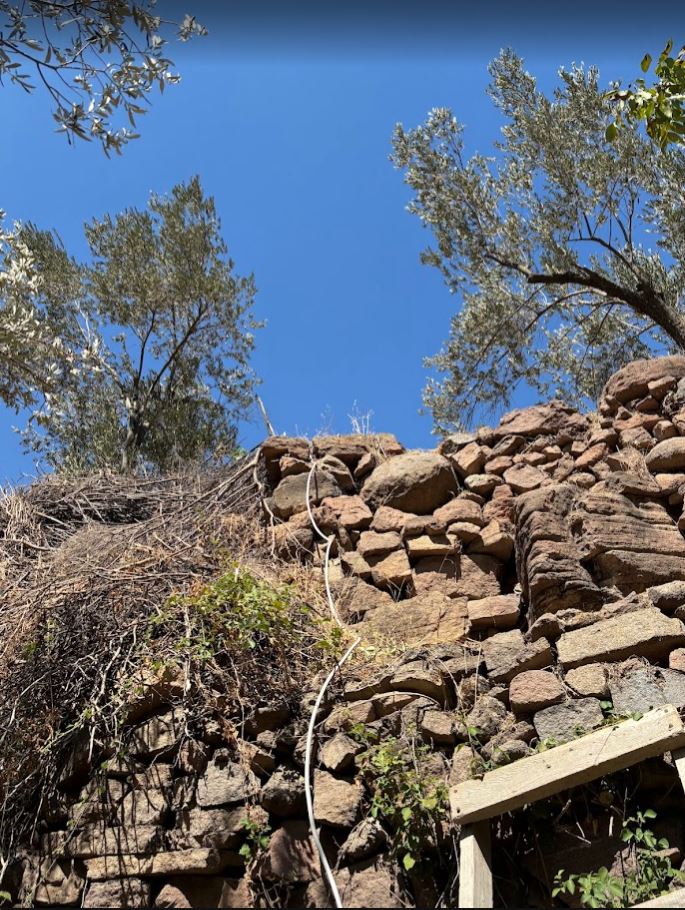 Cumhur Bey bahçesi 7