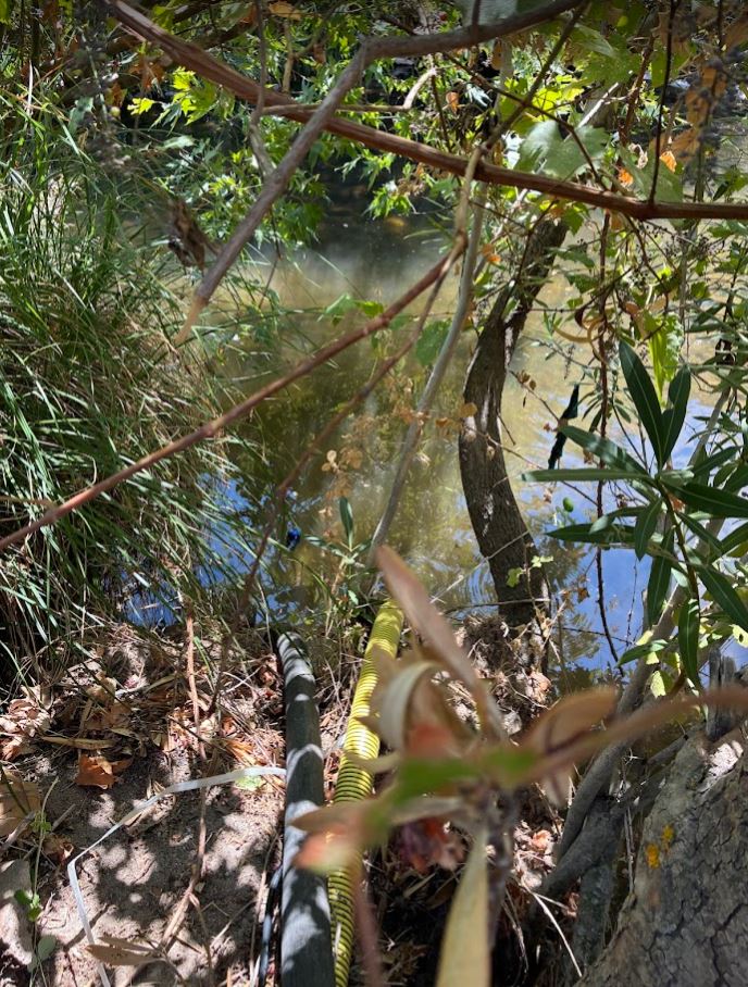 Cumhur Bey bahçesi 8